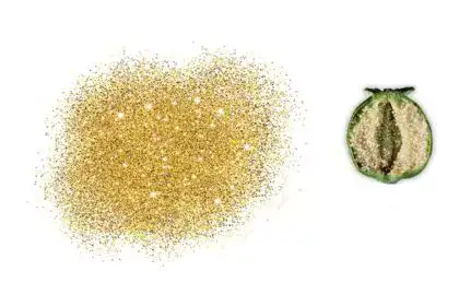 Poppy-Seeds-in-Kannada