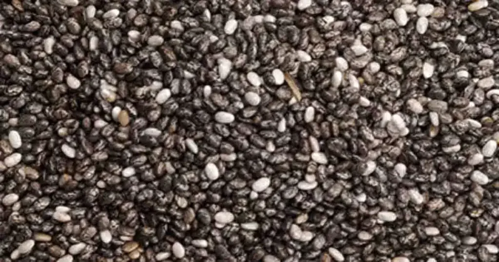 chia-seed-photo