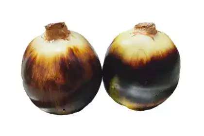 Nungu-in-English