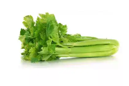 Celery-in-Telugu