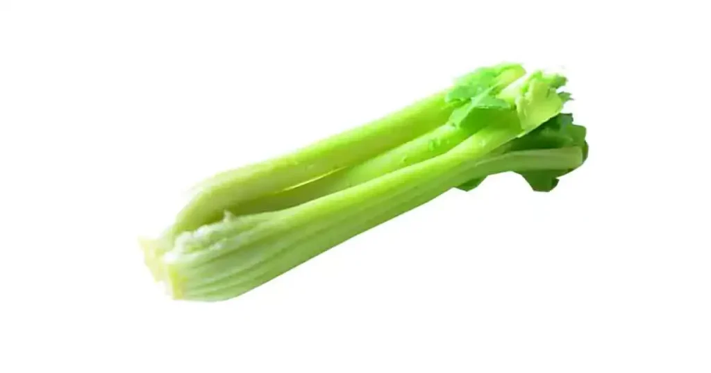 Celery-photo