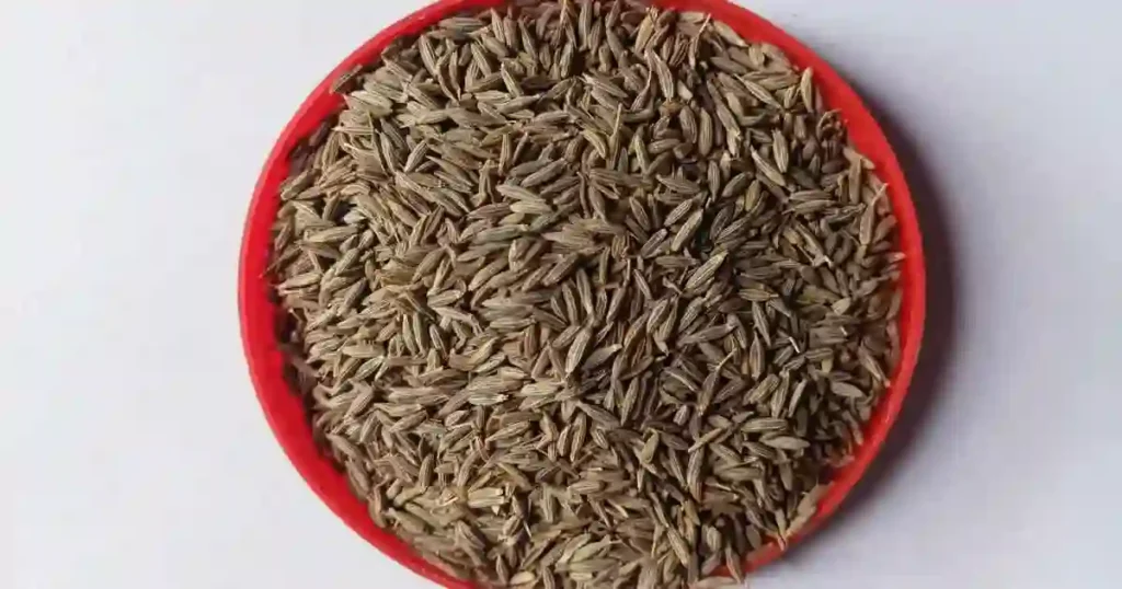 Cumin-seeds-in-Kannada