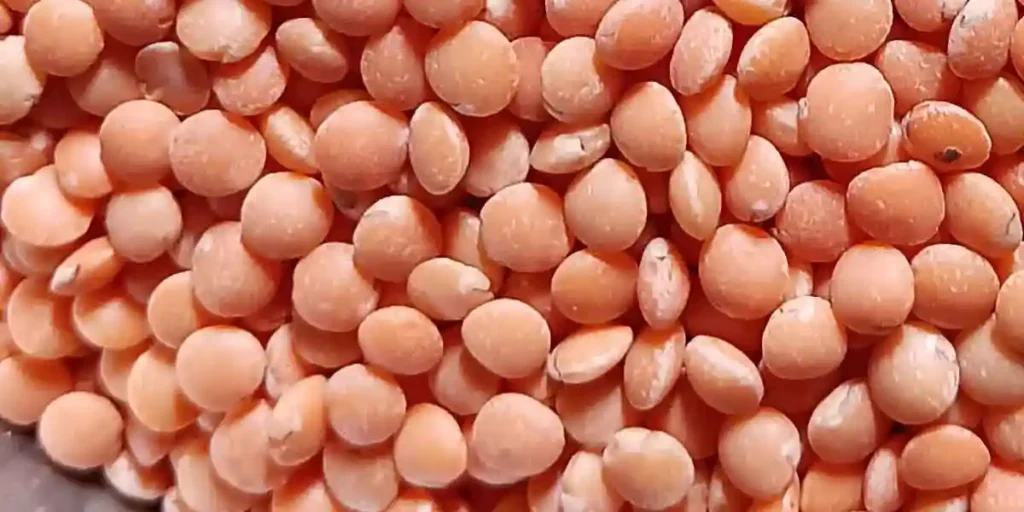 Lentils-in-Kannada