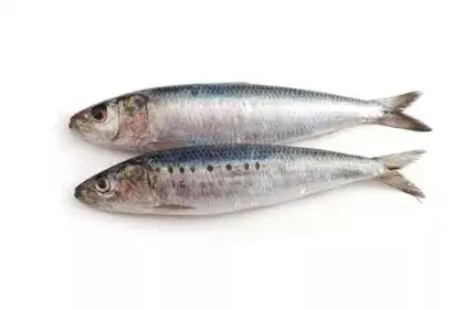 Mathi-Fish