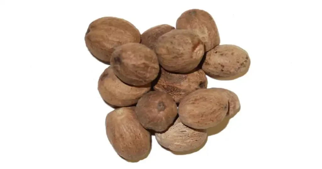 Nutmeg-in-Telugu