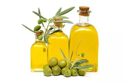 Olive-Oil-in-Marathi