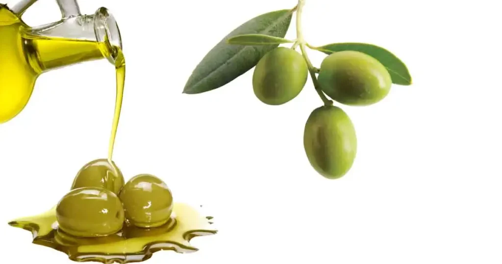 Olive-Oil-photo