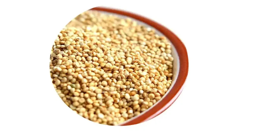 Quinoa-in-Malayalam