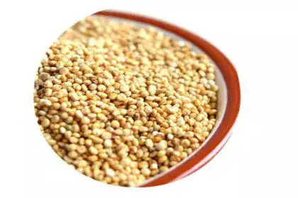 Quinoa-in-Malayalam