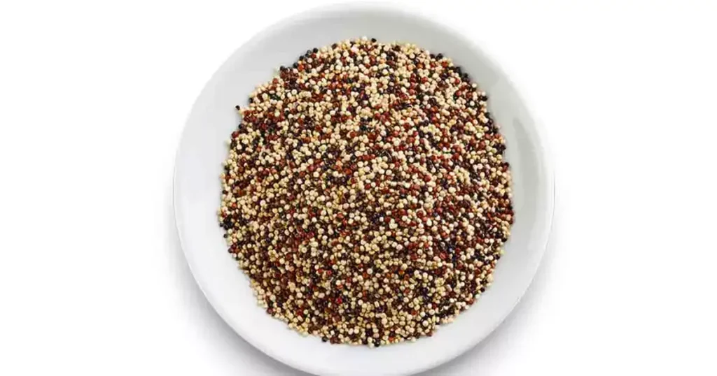 Quinoa-in-Marathi