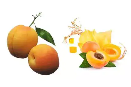 Apricot-in-Marathi