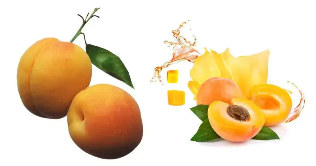 Apricot-in-Marathi