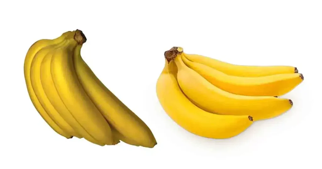 Banana-in-Tamil