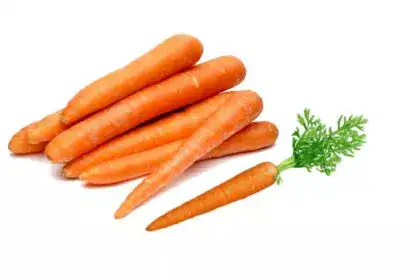 Carrot-in-Telugu