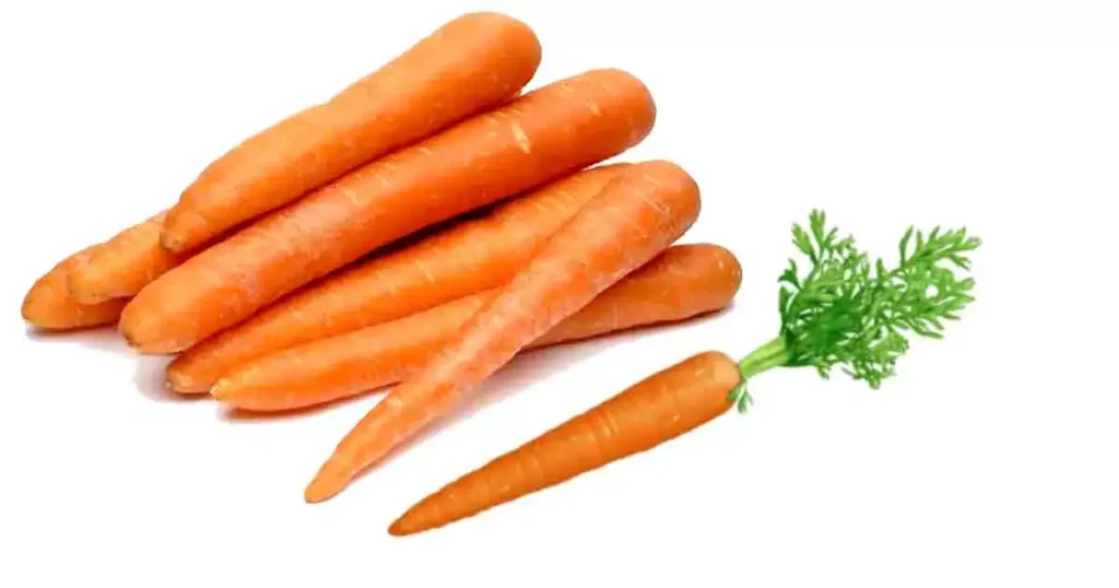 Carrot-in-Telugu