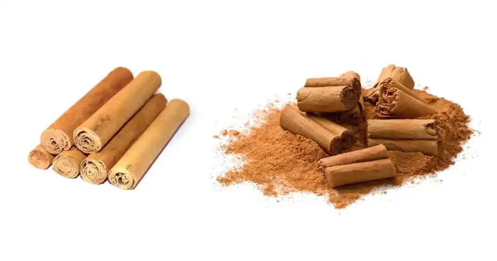 Cinnamon-in-Telugu