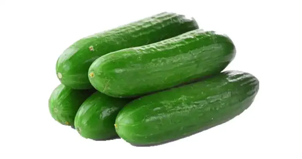 Cucumber-in-Marathi