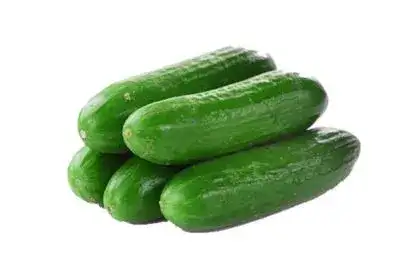 Cucumber-in-Marathi