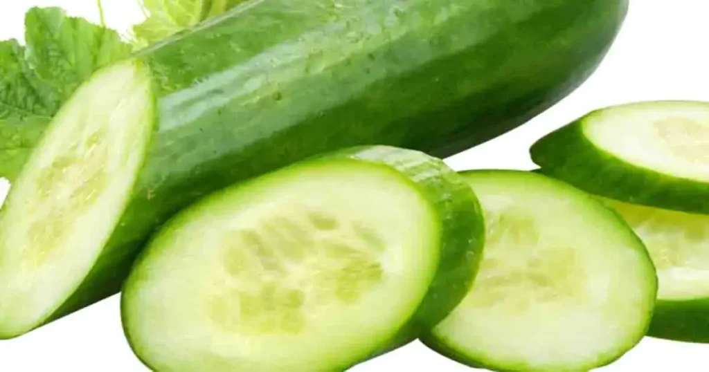 Cucumber-photo