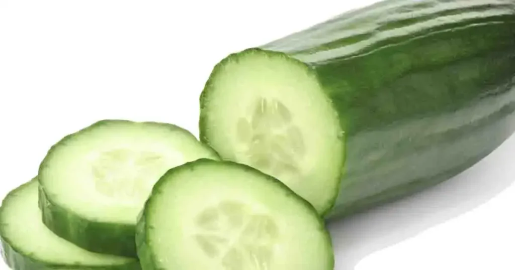 Cucumber-photo