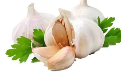 Garlic-in-Tamil