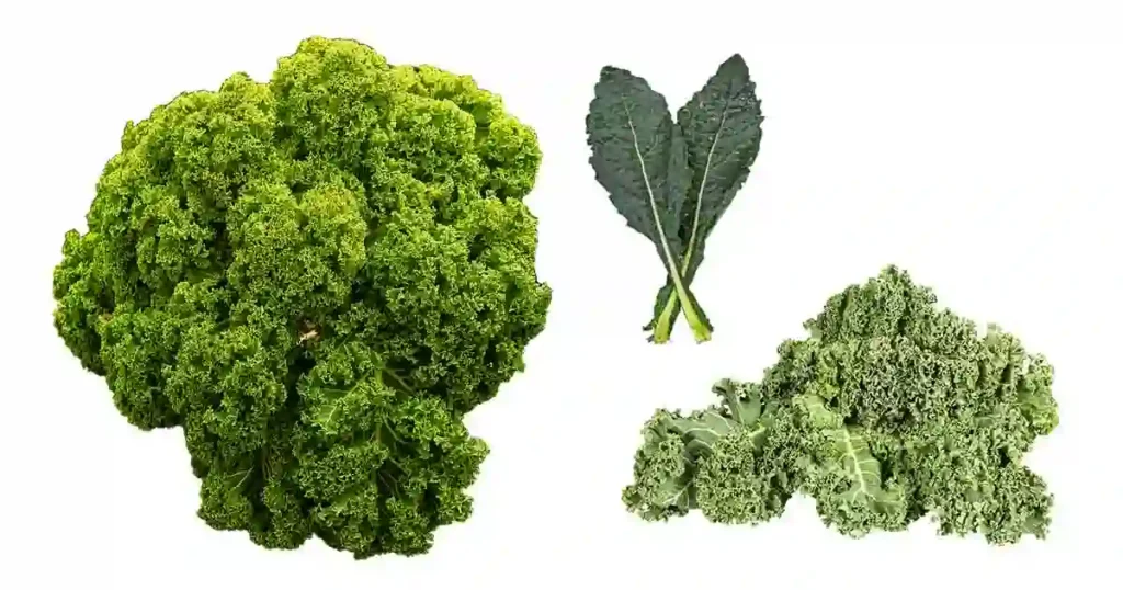 Kale-in-Kannada