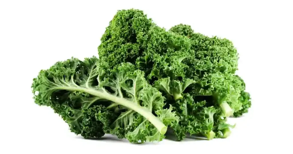 Kale-photo