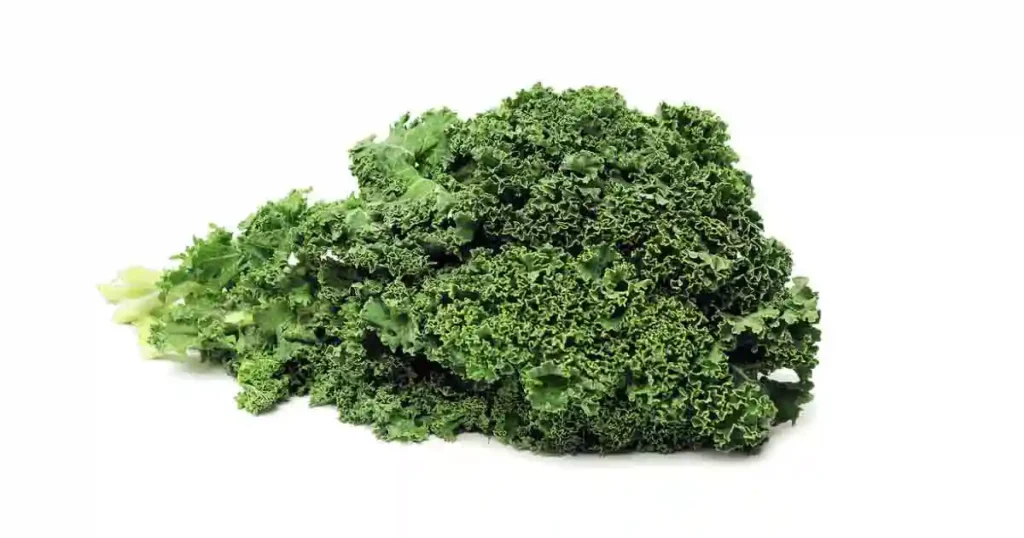 Kale-photo
