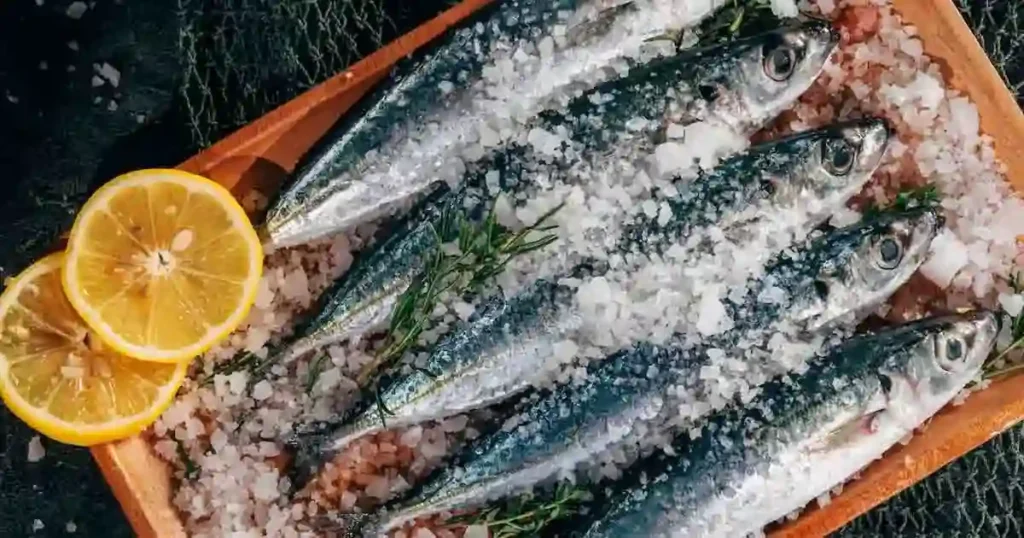 Mackerel Fish In Bengali [7+ Benefits, Side Effect, Nutrient, Types ]