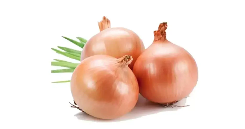 Onion-in-Kannada