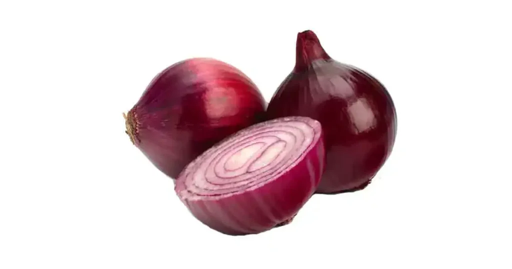 Onion-photo