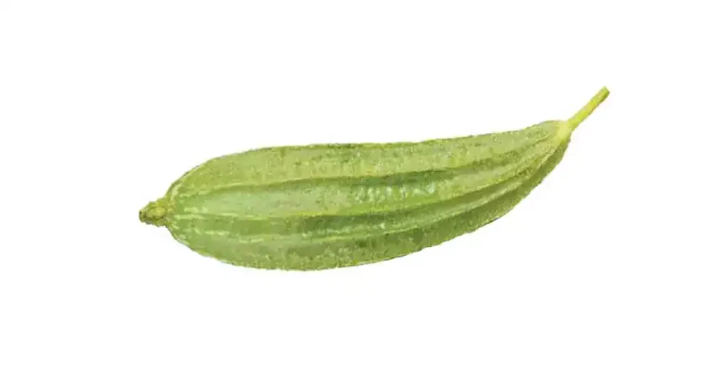 Ridge-gourd-in-Kannada