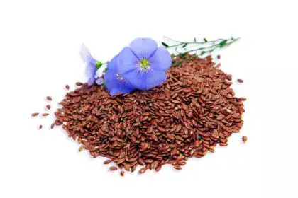 flax-seeds-in-Bengali