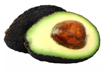 Avocado-in-Malayalam