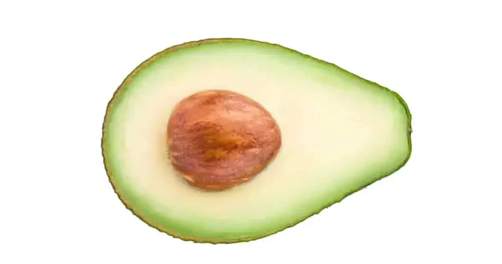 Avocado-photo