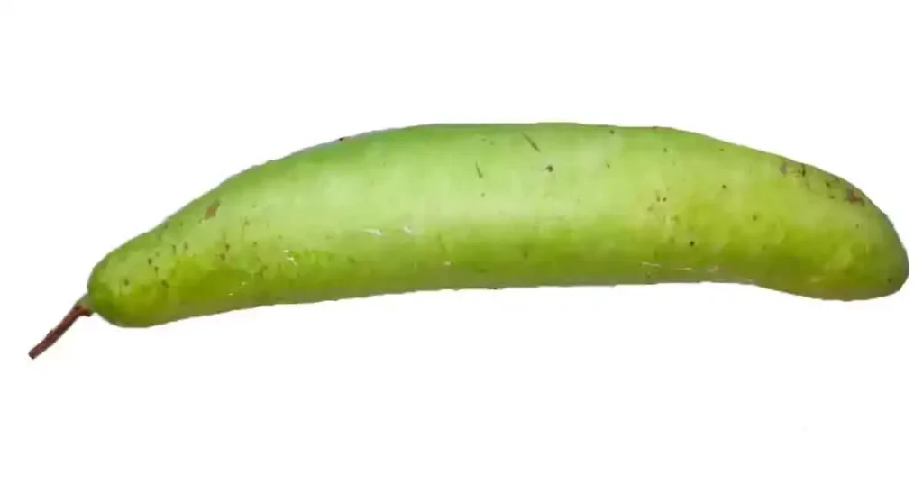 Bottle-gourd-in-Bengali