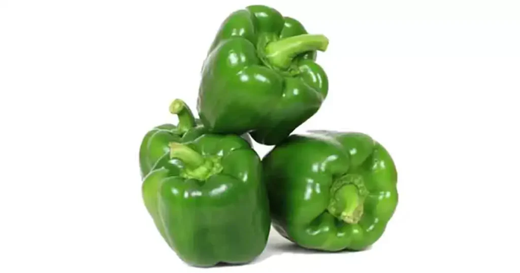 Capsicum-in-Tamil