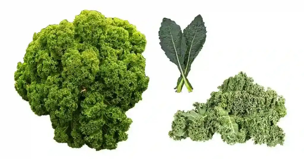 Kale-in-Telugu
