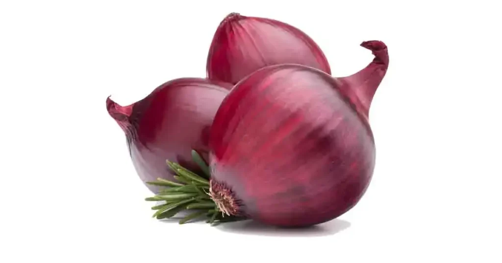 Onion-in-Tamil