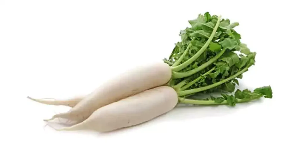 Radish-in-Telugu